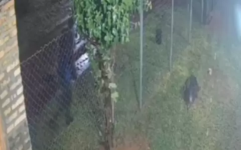 Otra mujer tambi�n habr�a sido v�ctima del mismo abusador que actu� en el Parque Guasu