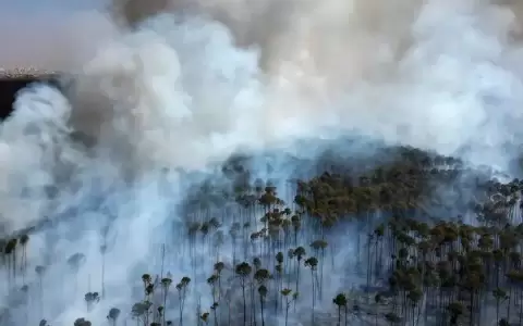 Ola de incendios alcanza el Parque Nacional de Brasilia
