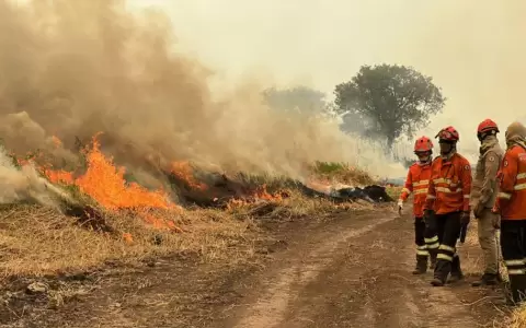 El Pantanal y Amazonas en grave peligro ambiental