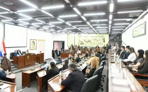 ANDE aclara a diputados que horario �nico no implicar� mayor consumo de luz