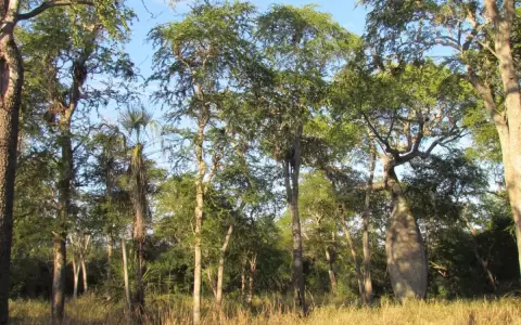 La naturaleza y sus contribuciones