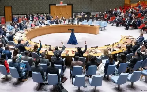 El Consejo de Seguridad de la ONU, pasos para una reforma