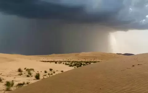 Llovi� en el desierto del Sahara: as� fue el extra�o fen�meno que preocupa a expertos