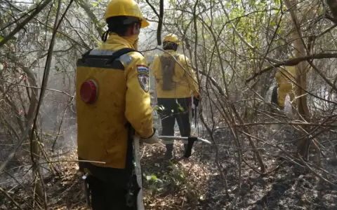 Reportan incendios en la zona del Cerro Chovoreca