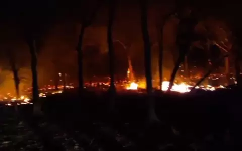 Poblador chaque�o denuncia que incendio fue provocado en territorio paraguayo