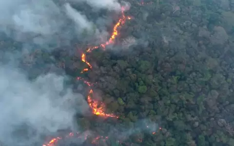 La cicatriz profunda tras los incendios: "No podemos todav�a definir la magnitud del da�o"