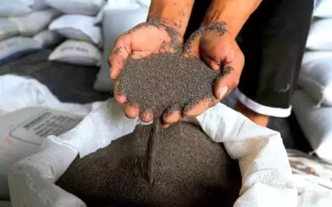 Planta modelo se prepara para procesar 3.000 toneladas de s�samo y ch�a en su etapa inicial