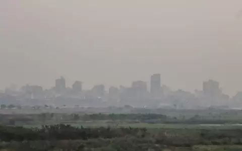 Peso de la ley debe caer sobre incendiarios