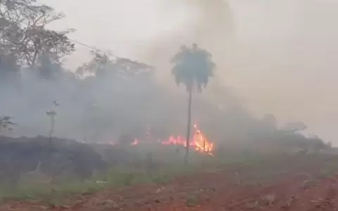 Nuevamente se registra incendio en el Parque Cerro Cor� de Amambay