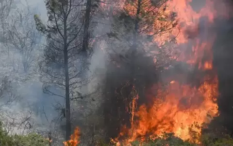 Incendio obliga a evacuar a miles de personas en California