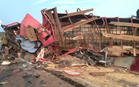 "Me salv� mi casco", relat� el motociclista que se salv� de milagro en la tragedia de Pedrozo