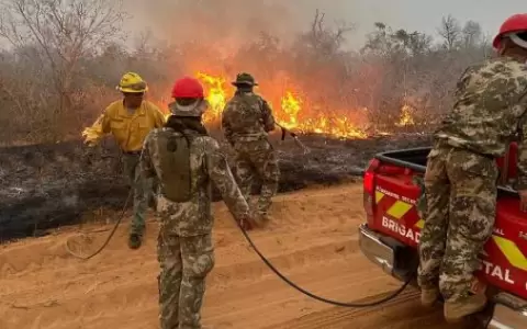 Incendiarios evaden a la Justicia