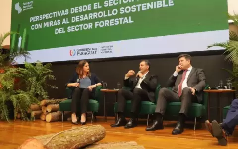 Sector forestal paraguayo busca ser referente en exportaciones e inversiones