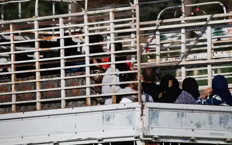 Miles huyen del sur de L�bano por los bombardeos israel�es