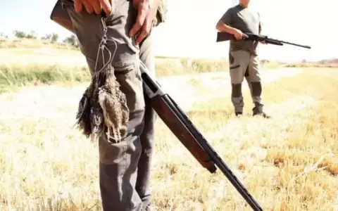 Senado aprueba el  uso de armas de fuego para menores de edad "con fines deportivos"
