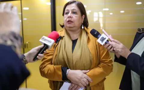 Senadora cuestiona a integrantes de la CBI: "Comisi�n pyrague ya parecen"