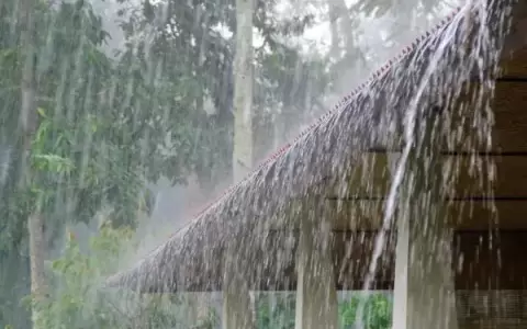 Clima: viernes con lluvias y tormentas el�ctricas en gran parte del pa�s