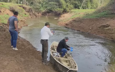 Investigan mortandad de peces en Pirap�