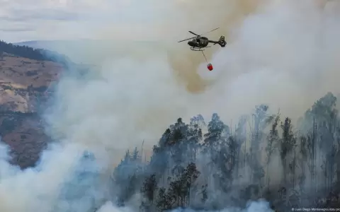 Quito decreta emergencia por m�ltiples fuegos forestales