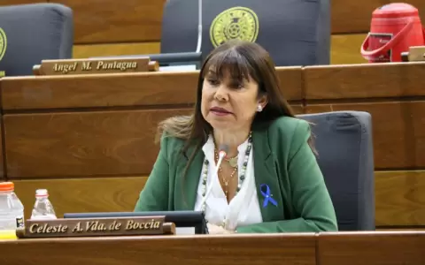Senadora aclara que di�logo con Pe�a no implica "trato" con oficialismo