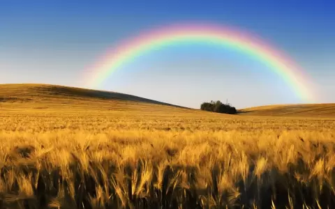 �Qu� es un arcoiris y c�mo se forma?