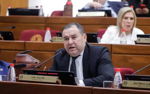 Senador cuestiona irresponsabilidad en convocatoria a Convenci�n del PLRA