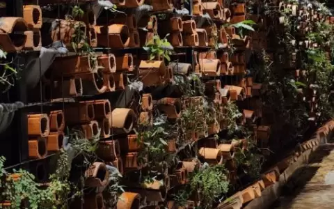 Recorrido por la muestra "Terraria", propuesta de la Fundaci�n Texo