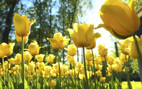�Cu�ndo es el equinoccio de primavera que da inicio oficial a la estaci�n en el hemisferio sur?