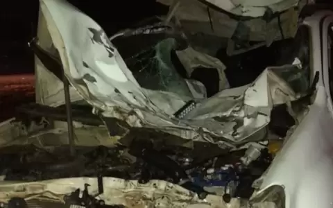Jefe policial choca contra un caballo y fallece su acompa�ante