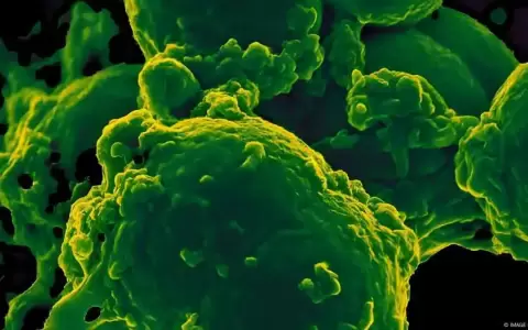 Superbacterias podr�an matar a 39 millones de personas