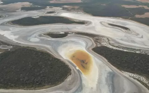 Las lagunas saladas del Chaco Central
