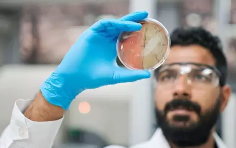 Cient�ficos revelan una forma de hacer la piel transparente