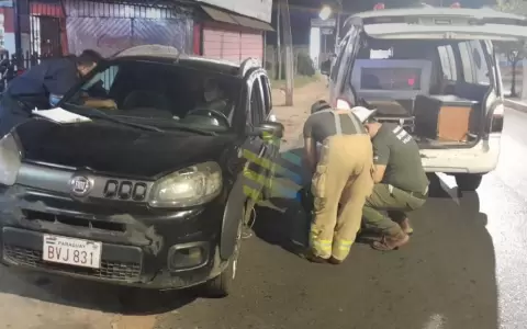 Villa Elisa: apu�alan a una conductora de plataforma