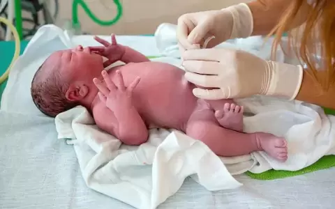 Resaltan la importancia de la terapia neonatal y la atenci�n humanizada