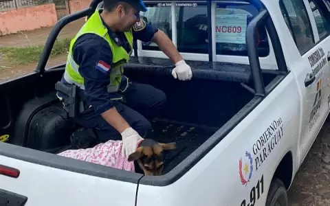 Polic�as rescataron a valiente perrita que defendi� a su due�o de un ataque