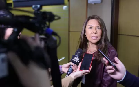Jubilaci�n vip: �Caja parlamentaria es insostenible�, advierte Celeste Amarilla