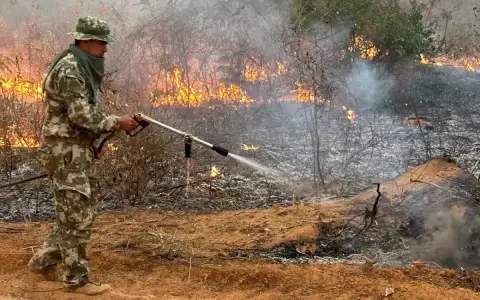 Incendio en el Chaco: due�os de estancias fueron identificados y citados por la Fiscal�a