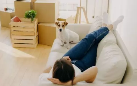 Mercado inmobiliario: el futuro est� en viviendas eco y pet-friendly, seg�n expertos