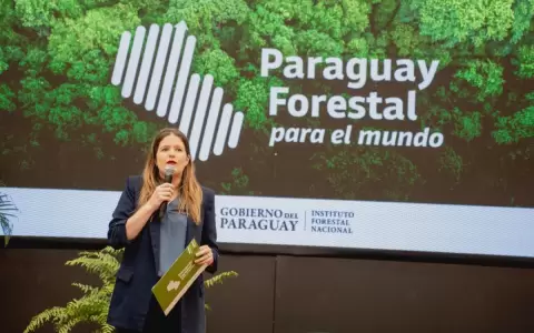 "Culpable no solo es el incendiario, tambi�n el Infona", dispara diputada