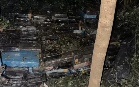 Desmantelan dep�sitos y puertos narcos en Saltos del Guair�