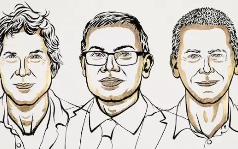El premio Nobel de Qu�mica 2024 fue otorgado a David Baker, Demis Hassabis y John Jumper