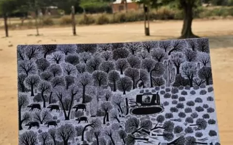 Casa Popore inaugura la muestra "Chaco, las l�neas imposibles"