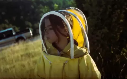 Proyecci�n de "20.000 especies de abejas" en el Juan de Salazar