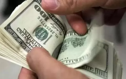 D�lar alcanza los G. 8.000, registrando subida de 100 puntos en una semana