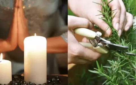 El secreto del ritual con romero para proteger la casa: d�nde conviene hacerlo