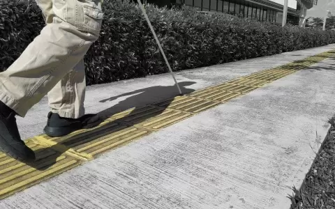 D�a Internacional del Bast�n Blanco para concienciar y visibilizar