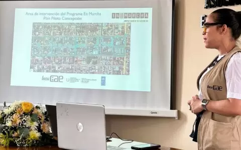 Las mipymes son el principal sustento econ�mico de Concepci�n