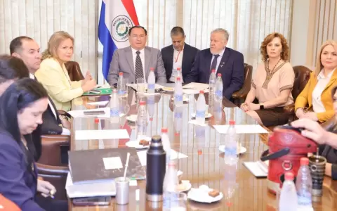 Mesa Directiva del Senado: IPS eval�a hacer otras emisiones de bonos, dice Br�tez