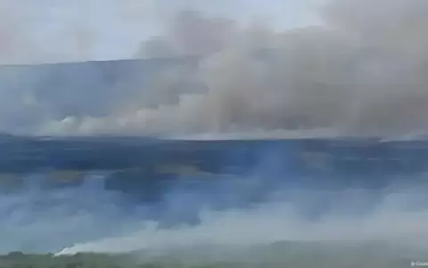 Alerta en Chile por incendio forestal en la Isla de Pascua