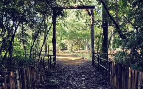 A los pies del Cerro Kavaju, en Caacup�, surge un destino tur�stico para conectar con la naturaleza